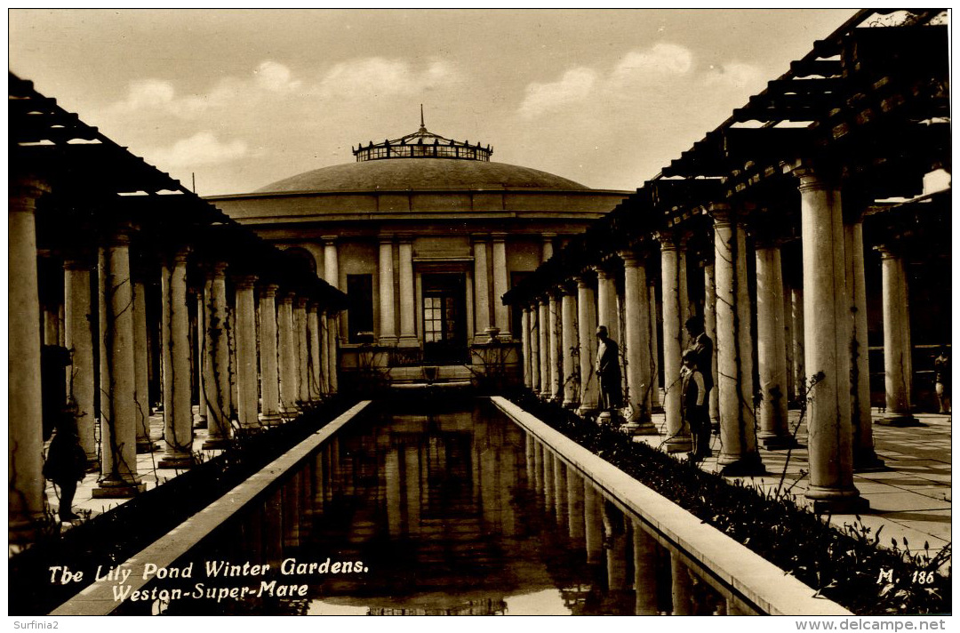 AVON - WESTON SUPER MARE - WINTER GARDENS - THE LILY POND RP  Av34 - Weston-Super-Mare