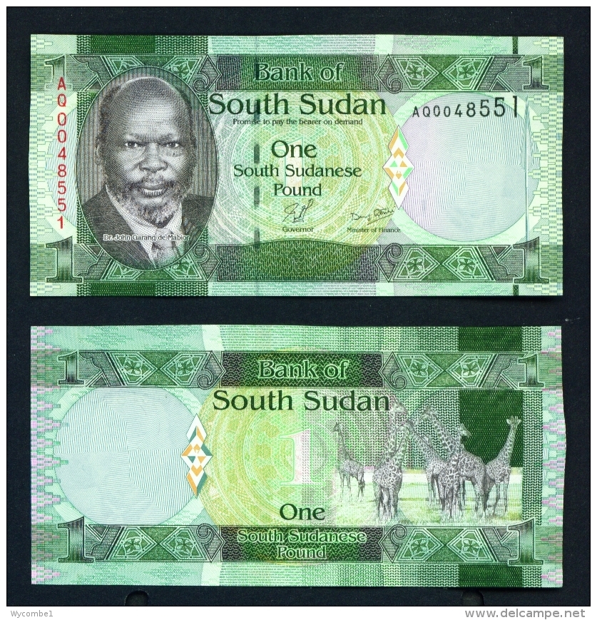 SOUTH SUDAN  -  2011  1 Pound  Giraffe  UNC - South Sudan