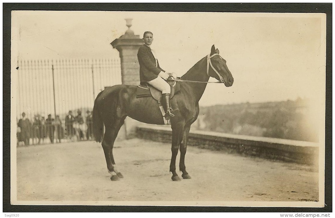 Carte Photo Raymond Poitiers-Cheval , Cavalier - Chevaux