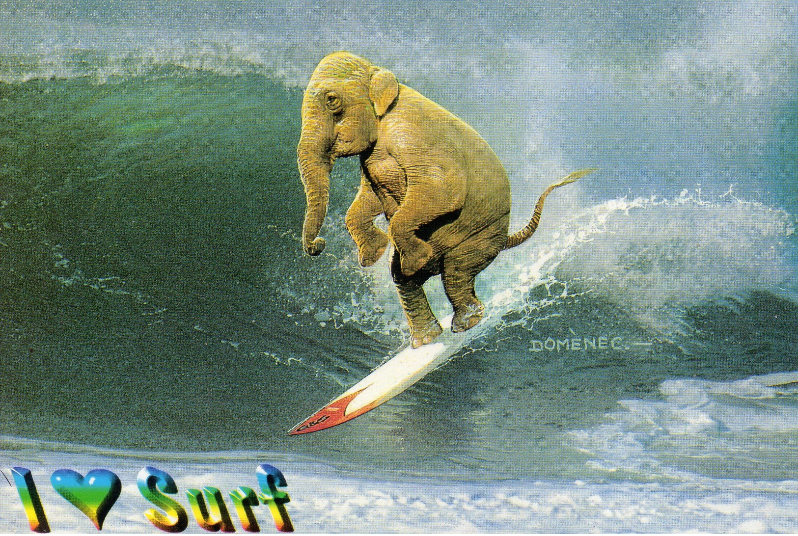 SURF - I Love Surf - Comercial Escut D'or -10.8 X 17 - Vierge - Tbe - Autres & Non Classés