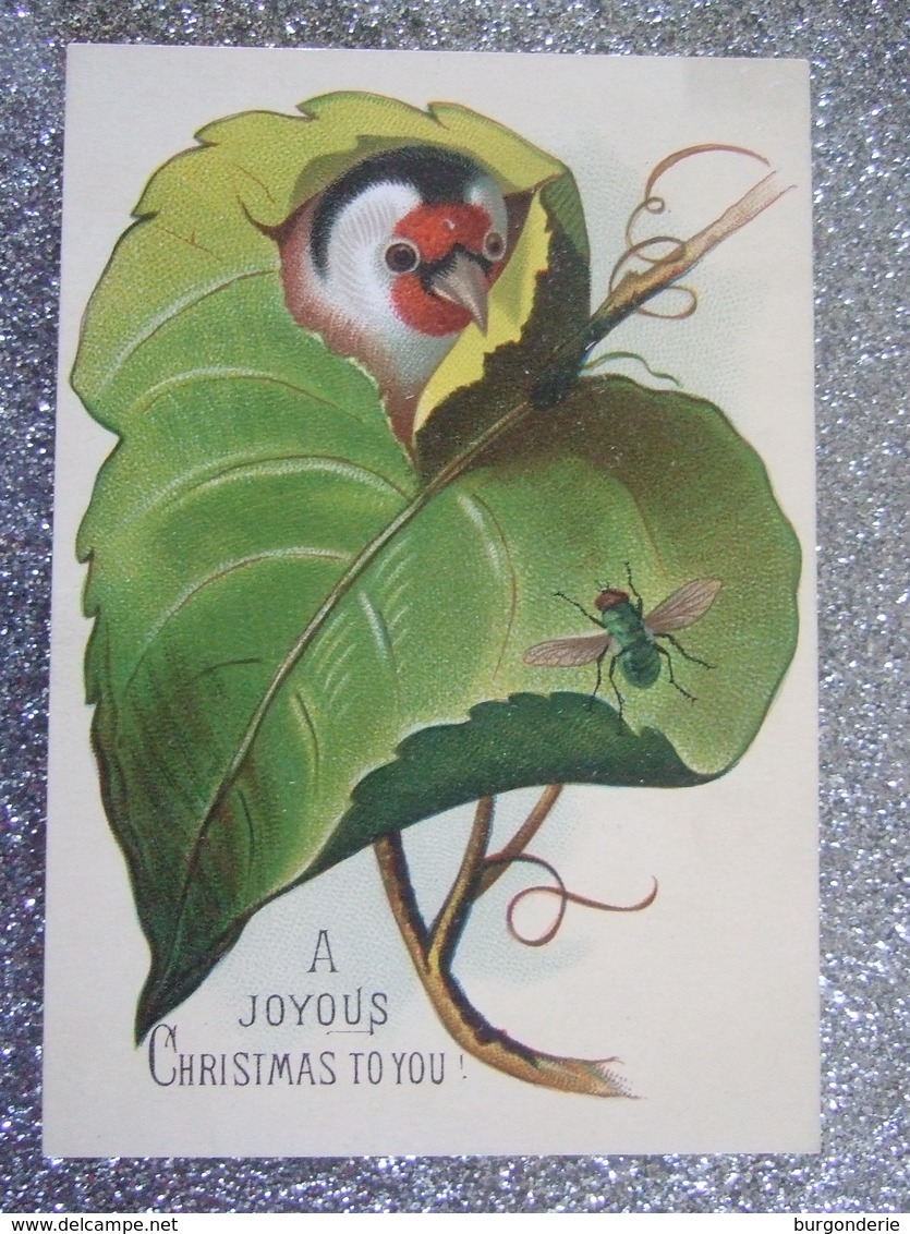 A JOYOUS  CHRISTMAS TO YOU / SUPERBE IMAGE / OISEAU TROUANT UNE FEUILLE ET ENVOYANT SES VOEUX A LA MOUCHE - Autres & Non Classés