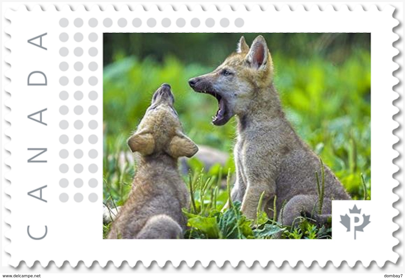 WOLF PUPS, LUPO, LOBO, LOUP, Personalized Postage Stamp MNH Canada 2018 P18-06sn07 - Dogs