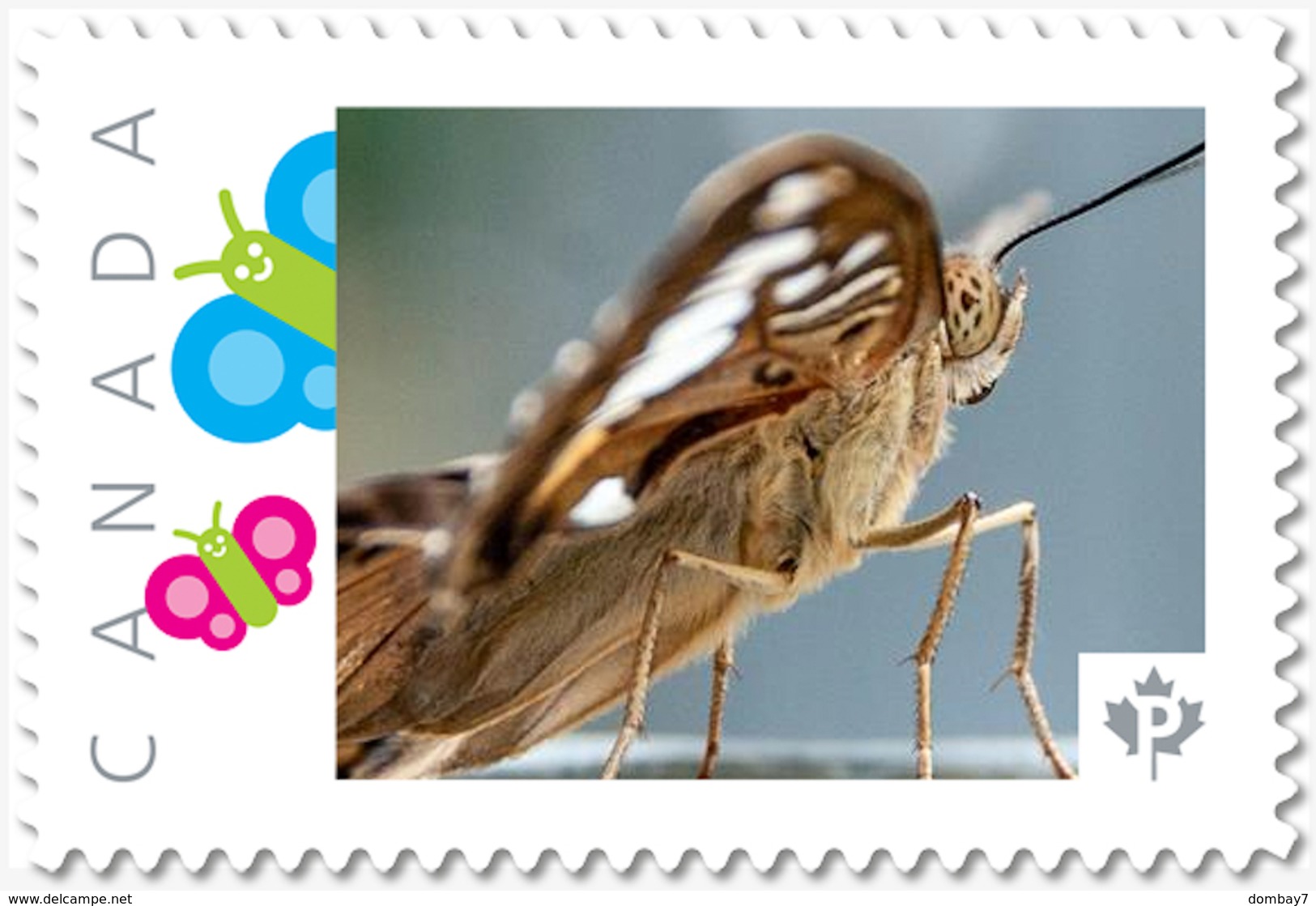 BUTTERFLY Side Angle,Close Up View PAPILLON, SCHMETTERLING, FARFALLA, MARIPOSA, MNH Postage Stamp Canada 2018 P18-06sn24 - Papillons