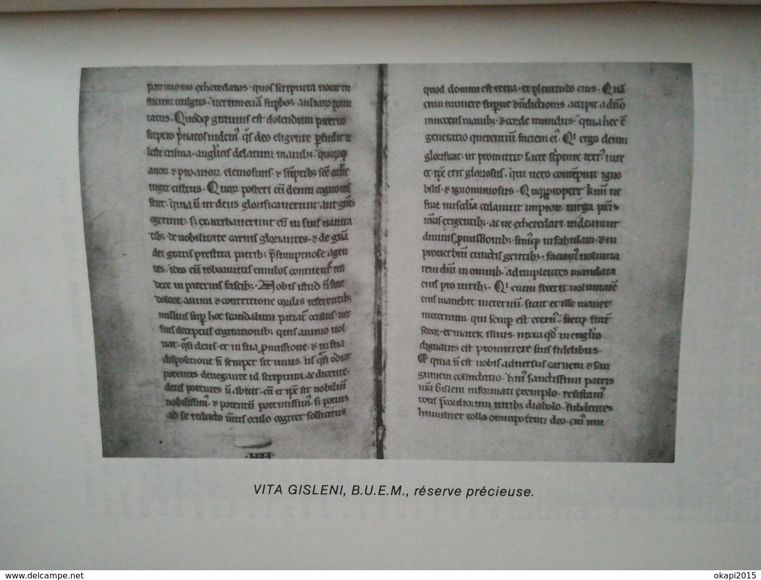 LE CHÂTEAU DU DIABLE À QUAREGNON PAR W. THOMAS ANNÉE 1989 LIVRE RÉGIONALISME WALLONNIE HAINAUT BELGIQUE BORINAGE - Belgio