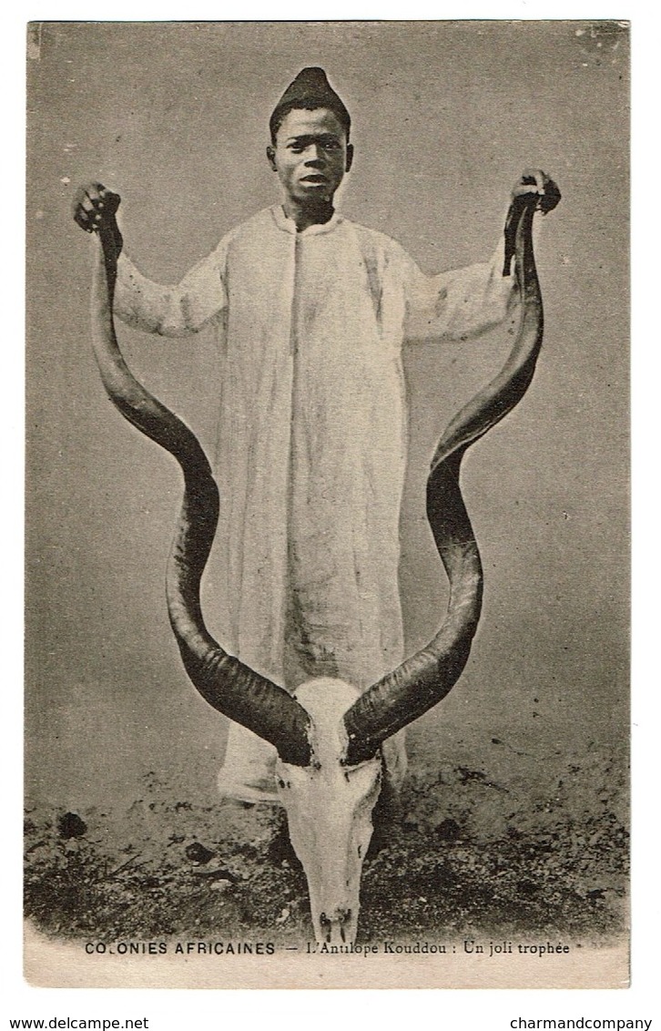 Colonies Africaines - L'Antilope Kouddou : Un Joli Trophée - Edit. J. Bienaimé, Reims - 2 Scans - Non Classés