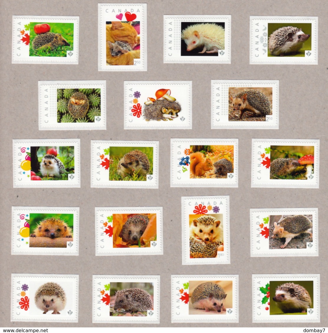HEDGEHOG, ERIZO, RICCIO, IGEL, Hérisson MNH Stamps LIMITED! ONLY 2 Collection Available! ONLY HERE! Canada 2014-2015 - Knaagdieren
