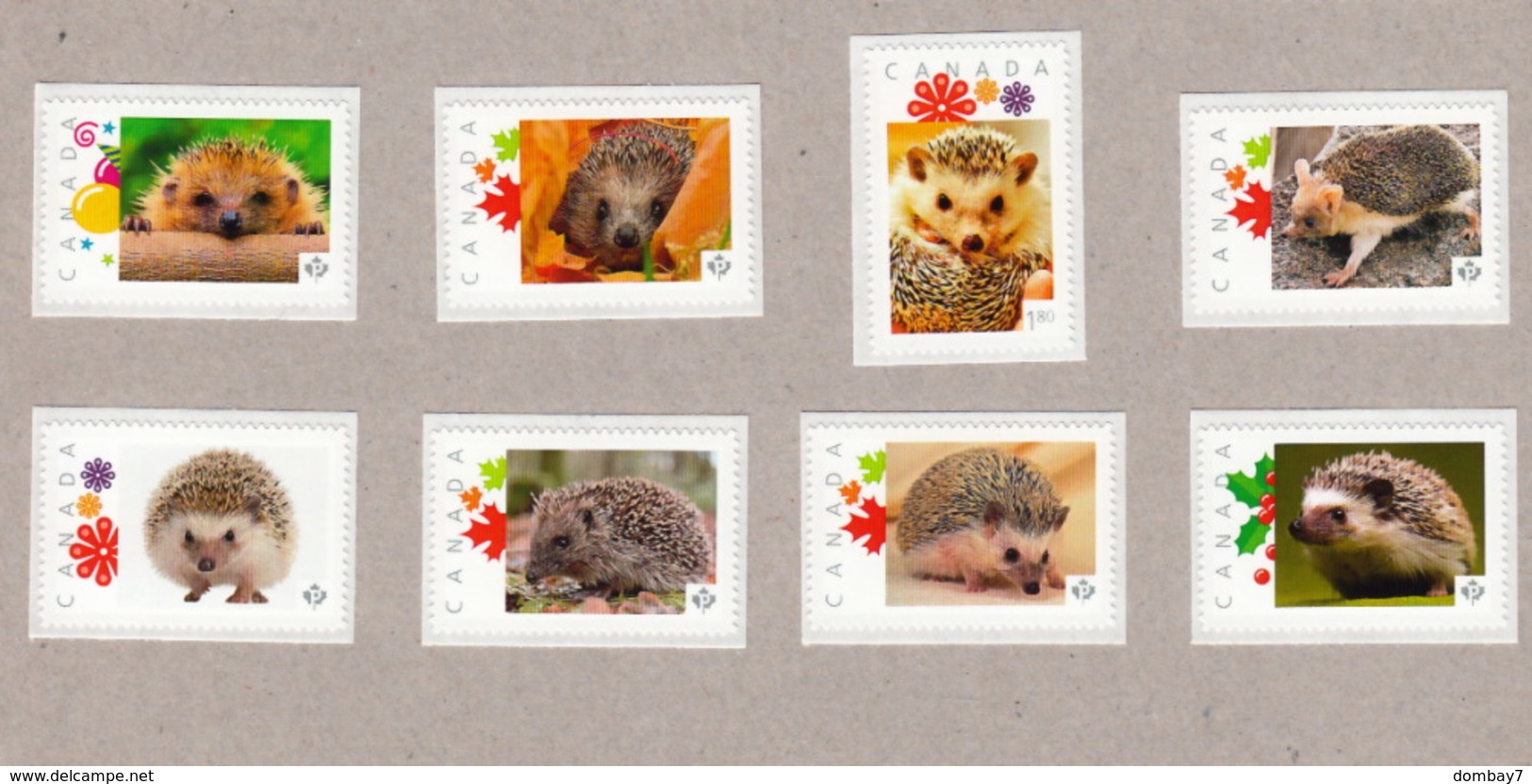 HEDGEHOG, ERIZO, RICCIO, IGEL, Hérisson MNH Stamps LIMITED! ONLY 2 Collection Available! ONLY HERE! Canada 2014-2015 - Knaagdieren