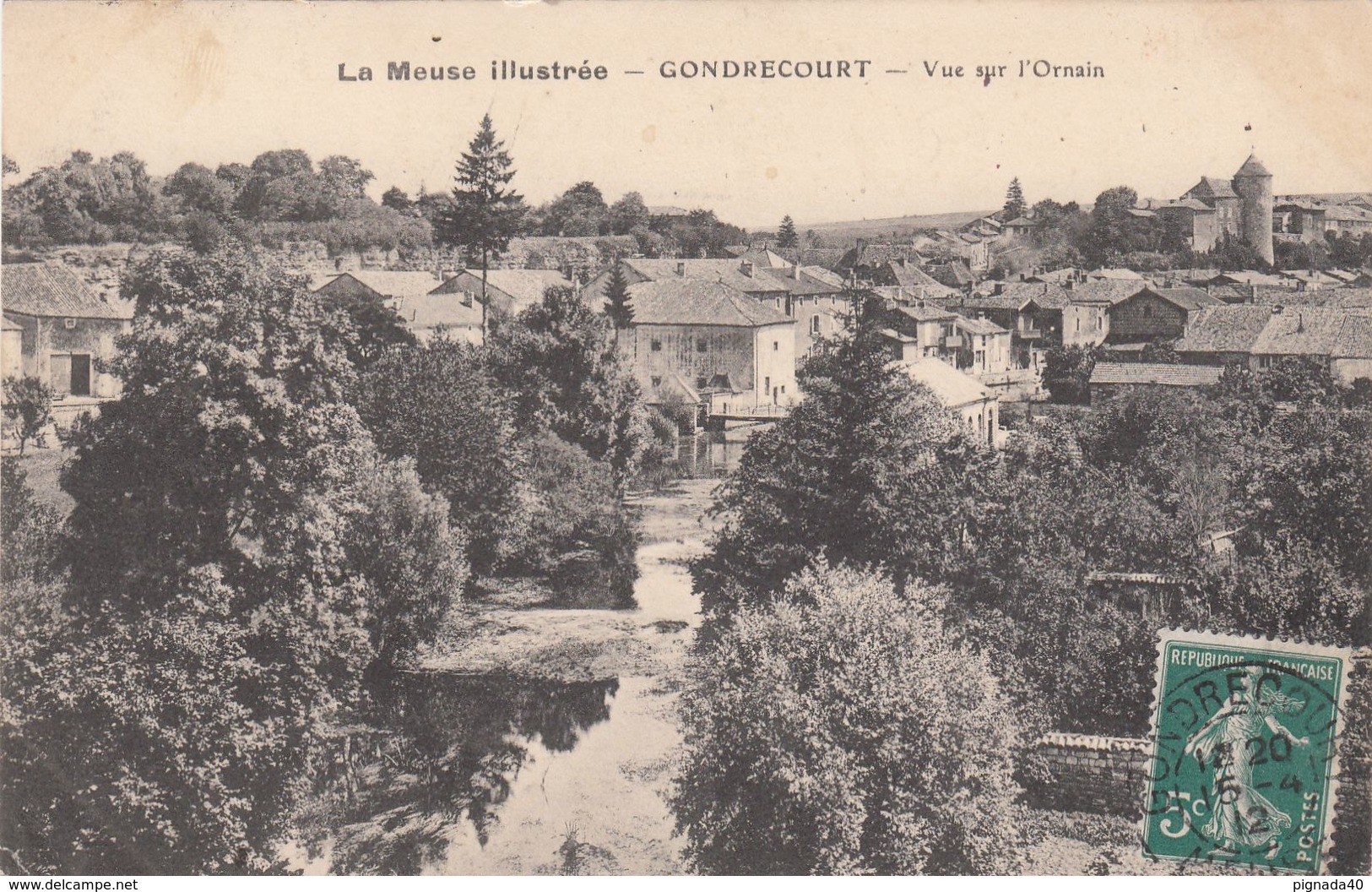 Cp , 55 , GONDRECOURT , Vue Sur L'Ornain - Gondrecourt Le Chateau