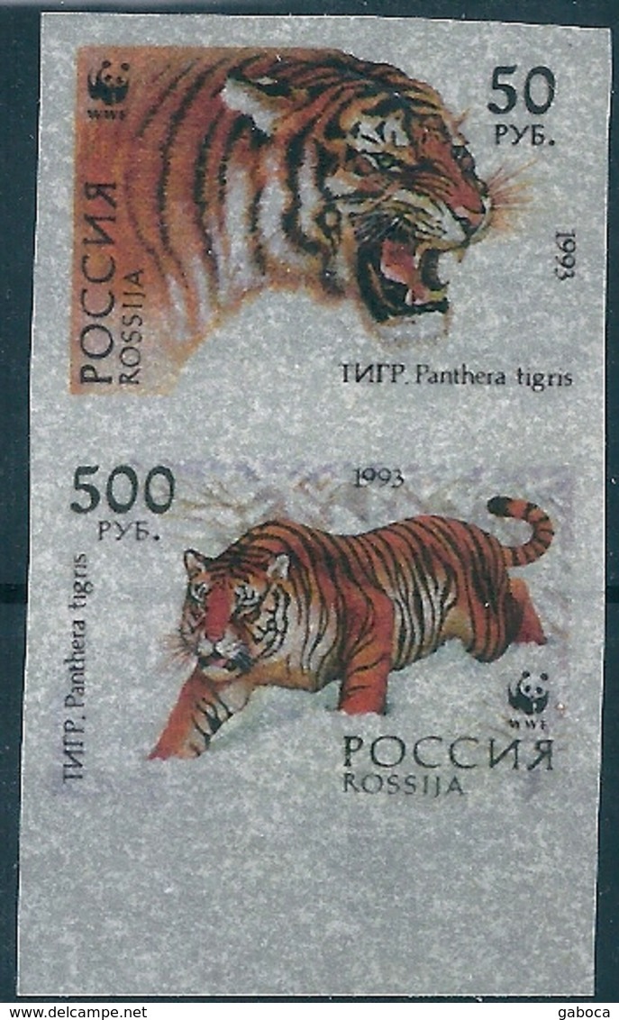 B1714 Russia Rossija Fauna Animal Tiger Pair Colour Proof - Errors & Oddities