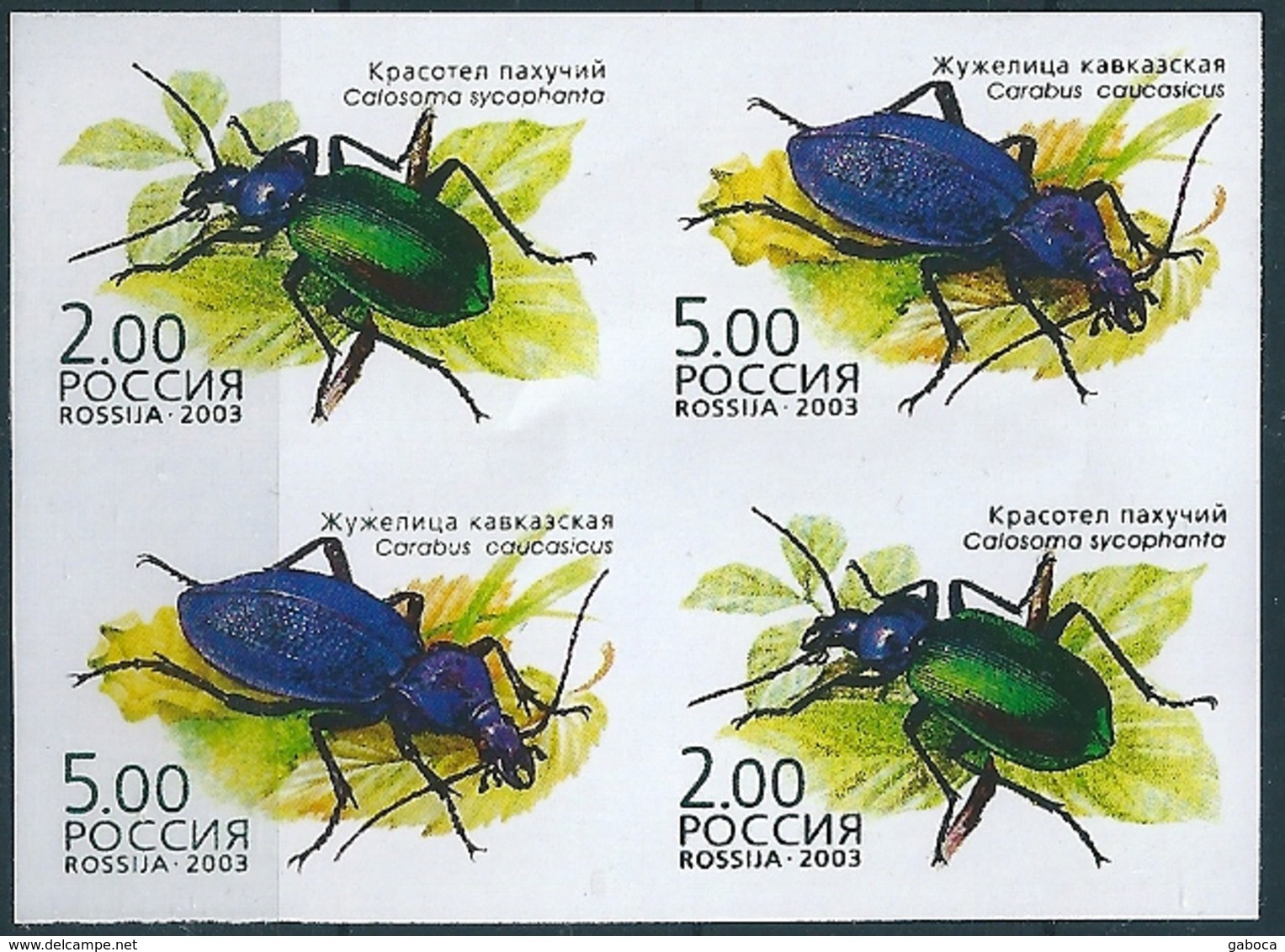 B1715 Russia 2003 Fauna Insects Bug Colour Proof - Errors & Oddities