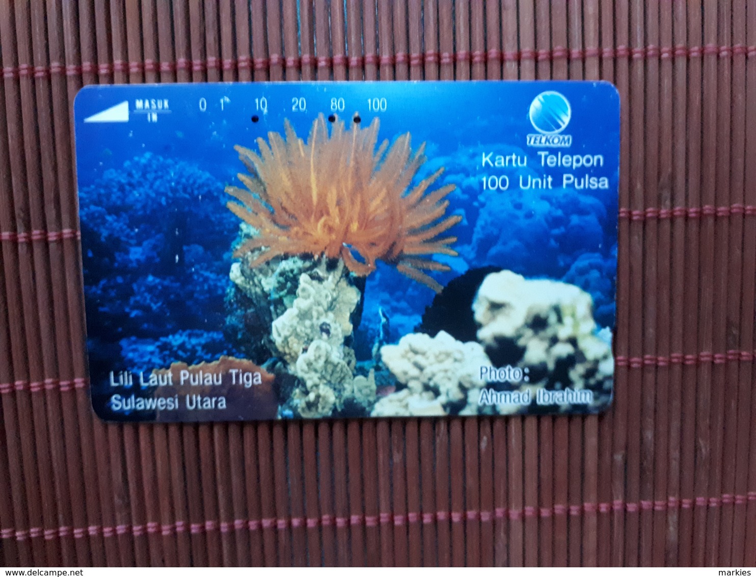 Phonecard Indonesia Sea Life Used - Indonesia