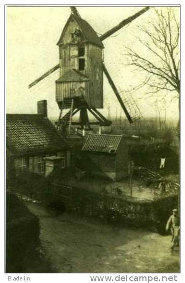 HOOGLEDE (W.Vl.) - Molen/moulin - Zeldzame Opname Van De Gewezen Oliemolen 't Hoge Met Duitse Soldaat Tijdens 1914-1918 - Hooglede