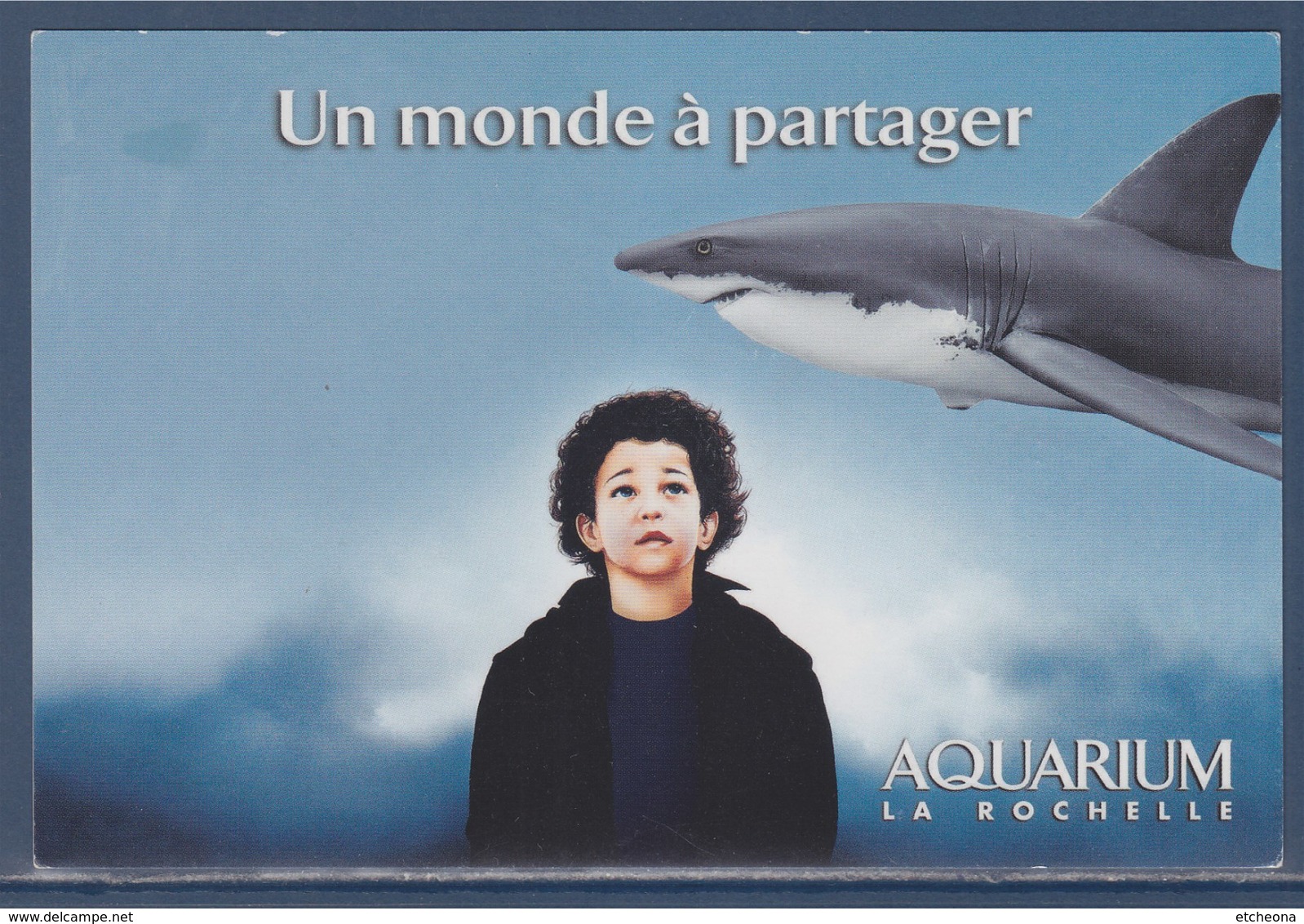 Requin, Aquarium De La Rochelle, Un Monde à Partager, - Poissons Et Crustacés