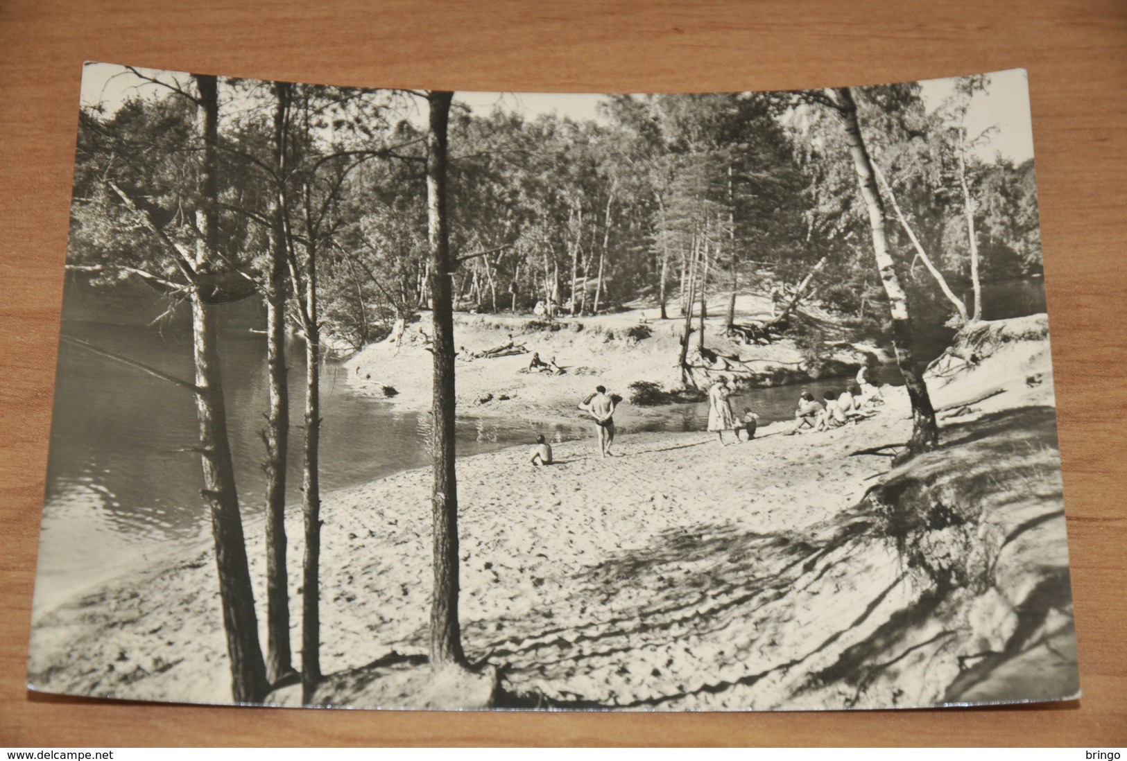 3508- Dübener Heide, Friedrichssee - 1968 - Bad Düben