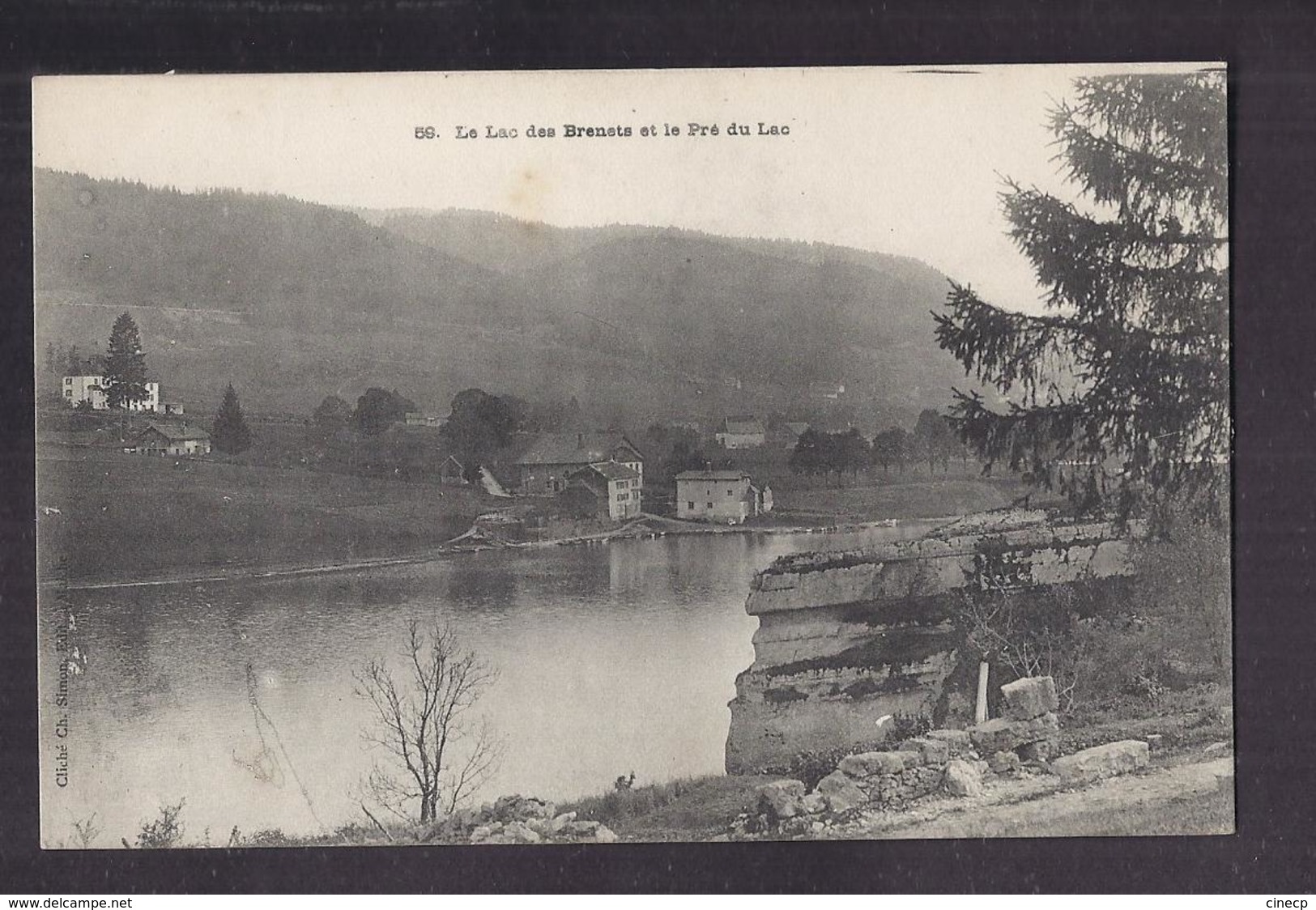 CPA SUISSE - Le Lac Des Brenets Et Le Pré Du Lac - Jolie Vue Habitations Au Bord De L'eau - Les Brenets