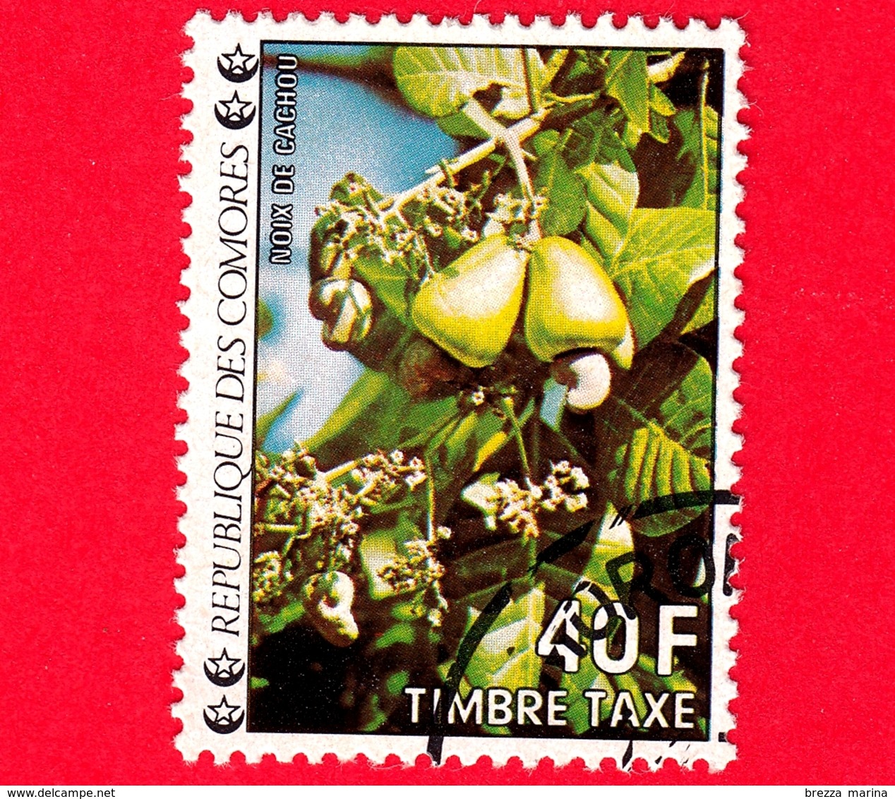 Isole COMORE - Usato - 1977 - Segnatasse - Taxe - Postage Due - Fiori - Cashews - Anacardi - 40 - Isole Comore (1975-...)