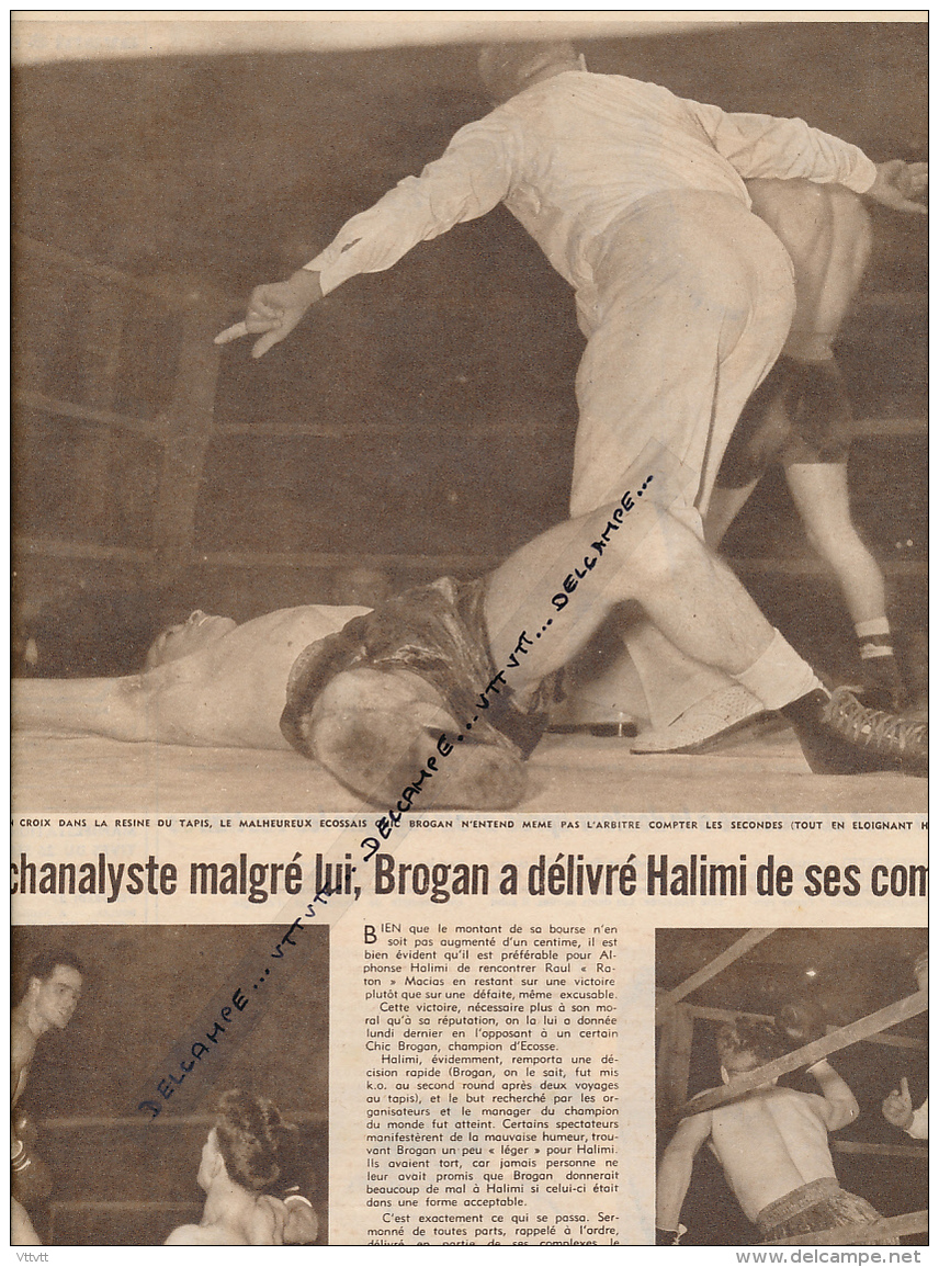 DOCUMENT, BOXE,  ALPHONSE HALIMI - CHIC BROGAN, CHAMPION D'ECOSSE, COUPURE REVUE (1957) - Collections