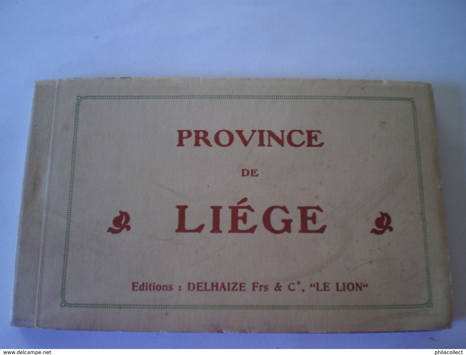 Province De Liege // Carnet - Boekje Ed Delhaize Frs & Co - Le Lion // Complet 20 Cartes // Rare - Andere & Zonder Classificatie