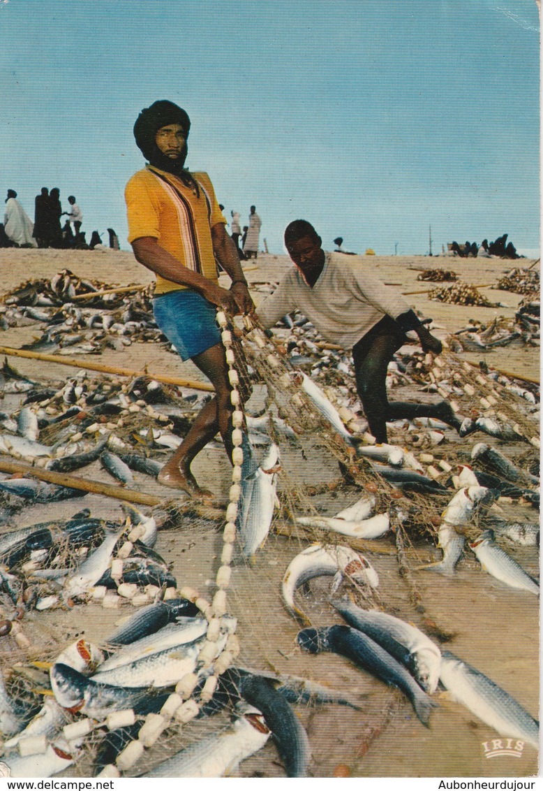 MAURITANIE Scene De Peche 40H - Mauritania