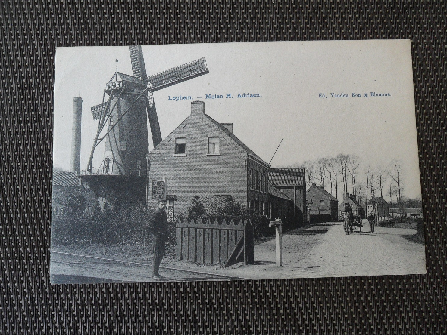 Lophem Loppem  Molen ( Moulin ) H. Adriaen - Brugge