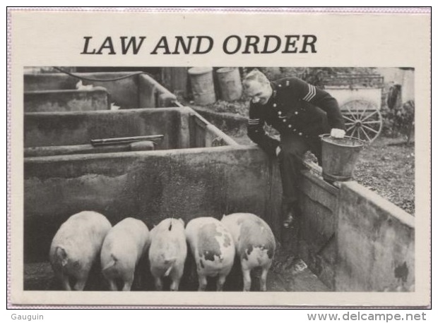 CPM - LAW AND ORDER - Edition Heroes - Cochons