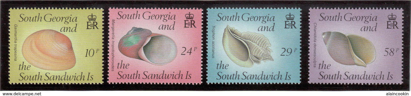 E4 - South Georgia South Sandwich 184/187 ** De 1988 - Coquillages . - Géorgie Du Sud