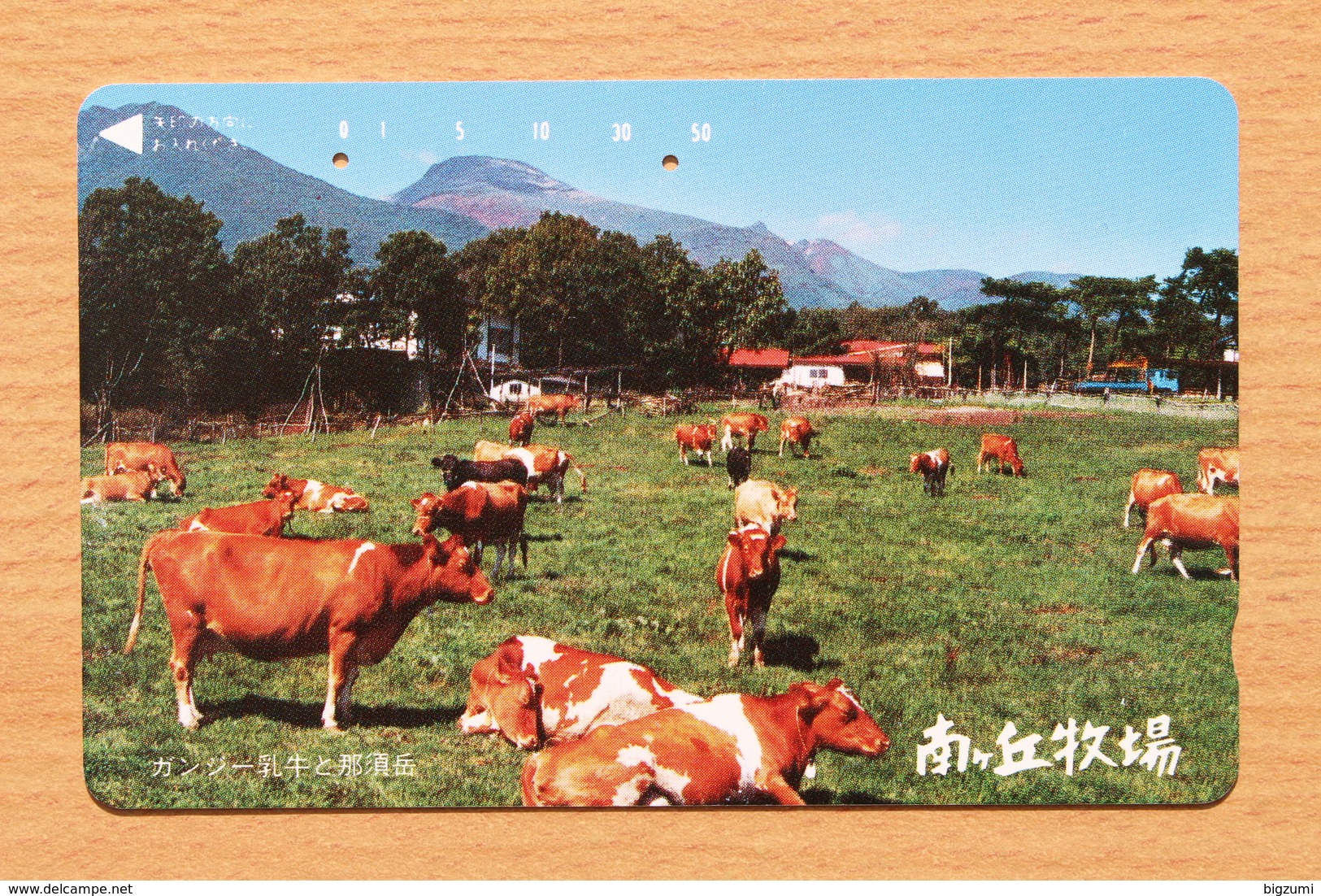 Japon Japan Phonecard (C) / - Cows