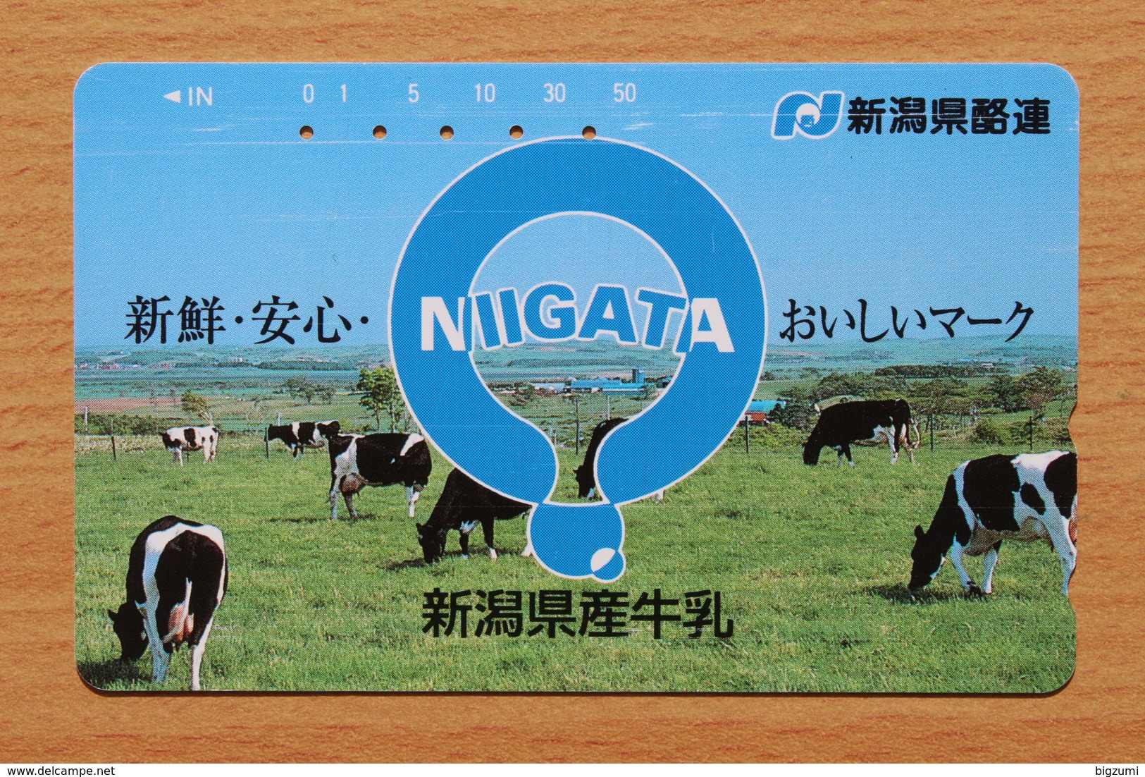 Japon Japan Phonecard (C) / - Cows