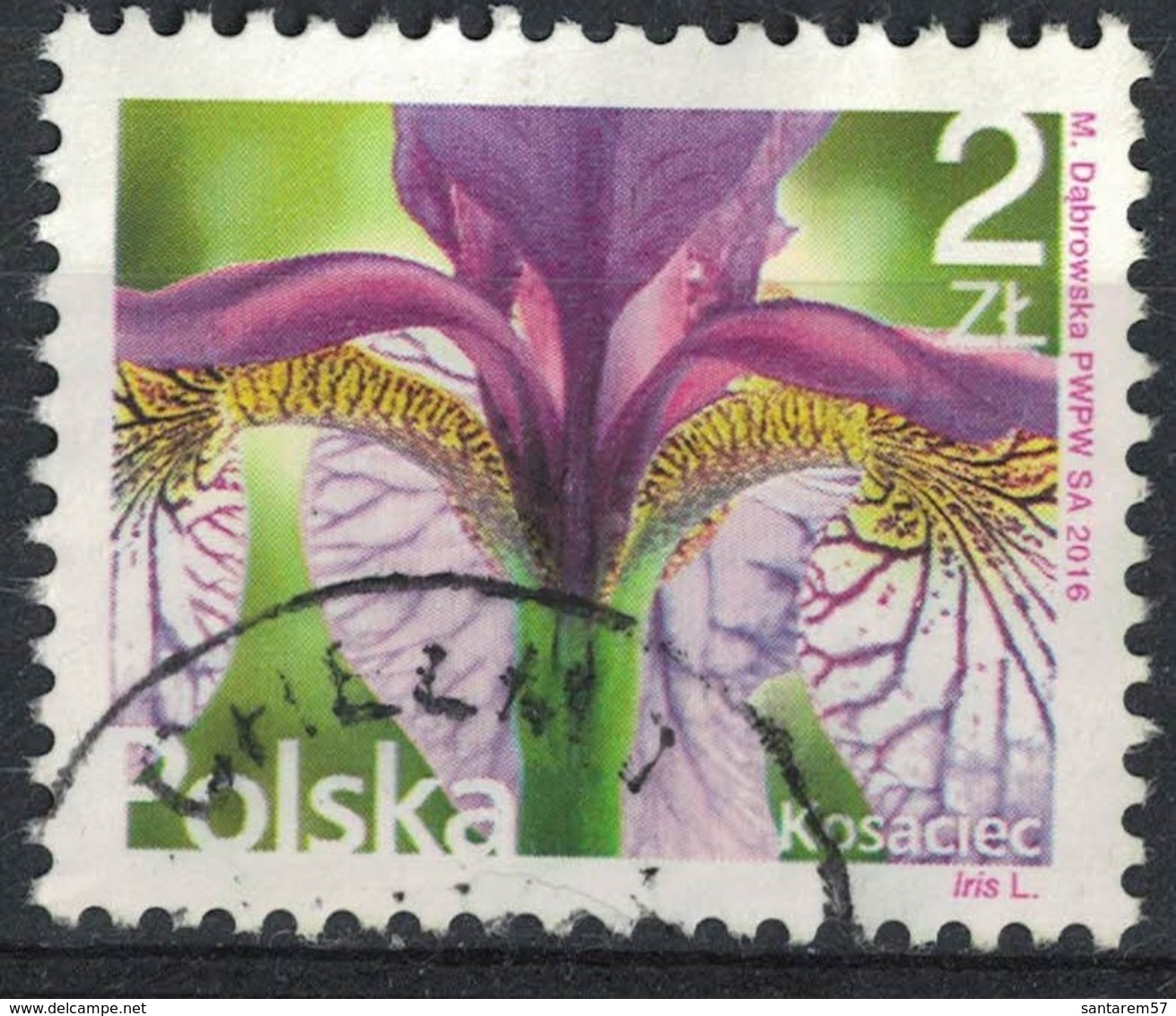 Pologne 2016 Oblitéré Used Fleurs Et Plantes Iris - Gebraucht