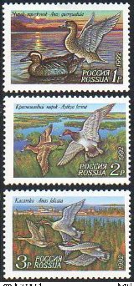 Russia 1992. Ducks. Fauna. Birds.  MNH - Ungebraucht