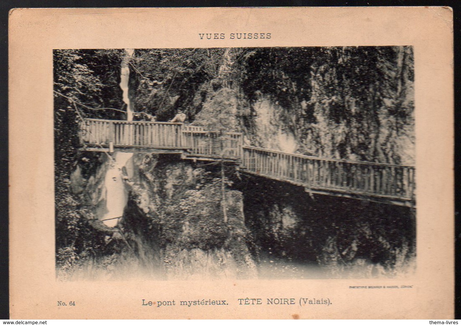 Tête Noire ( Valais , Suisse) Le Pont Mystérieux (vues Suisses) (PPP13591F) - Places