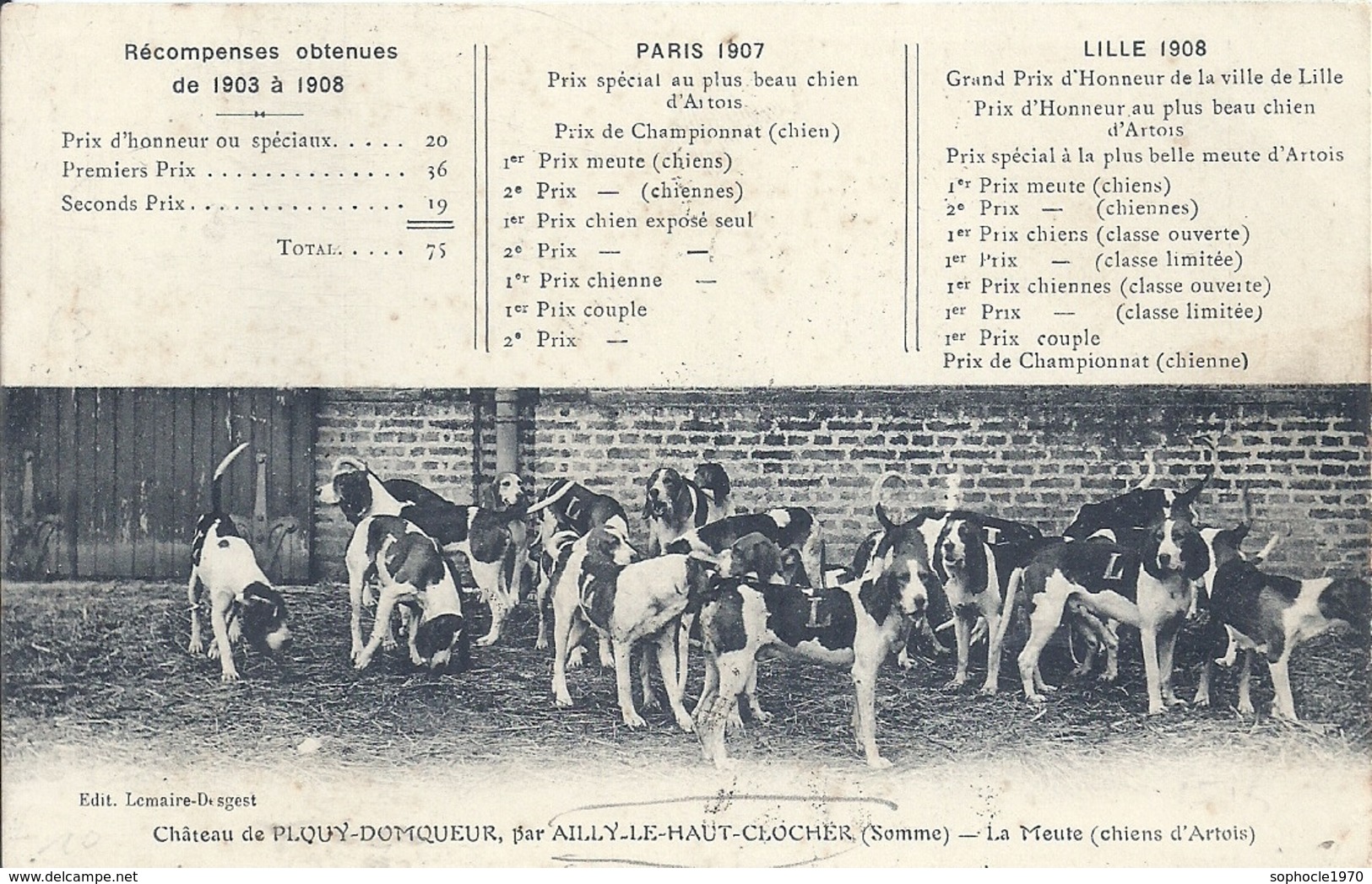 SOMME - 80 - DOMQUEUR PLOUY Près AILLY LE HAUT CLOCHER -  (- La Meutede Chiens D'Artoids - Ailly Le Haut Clocher