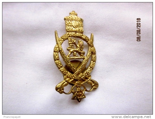 Insigne De La Garde Impériale éthiopienne (kebour Zabagna), époque De Haile Selassie - Landmacht