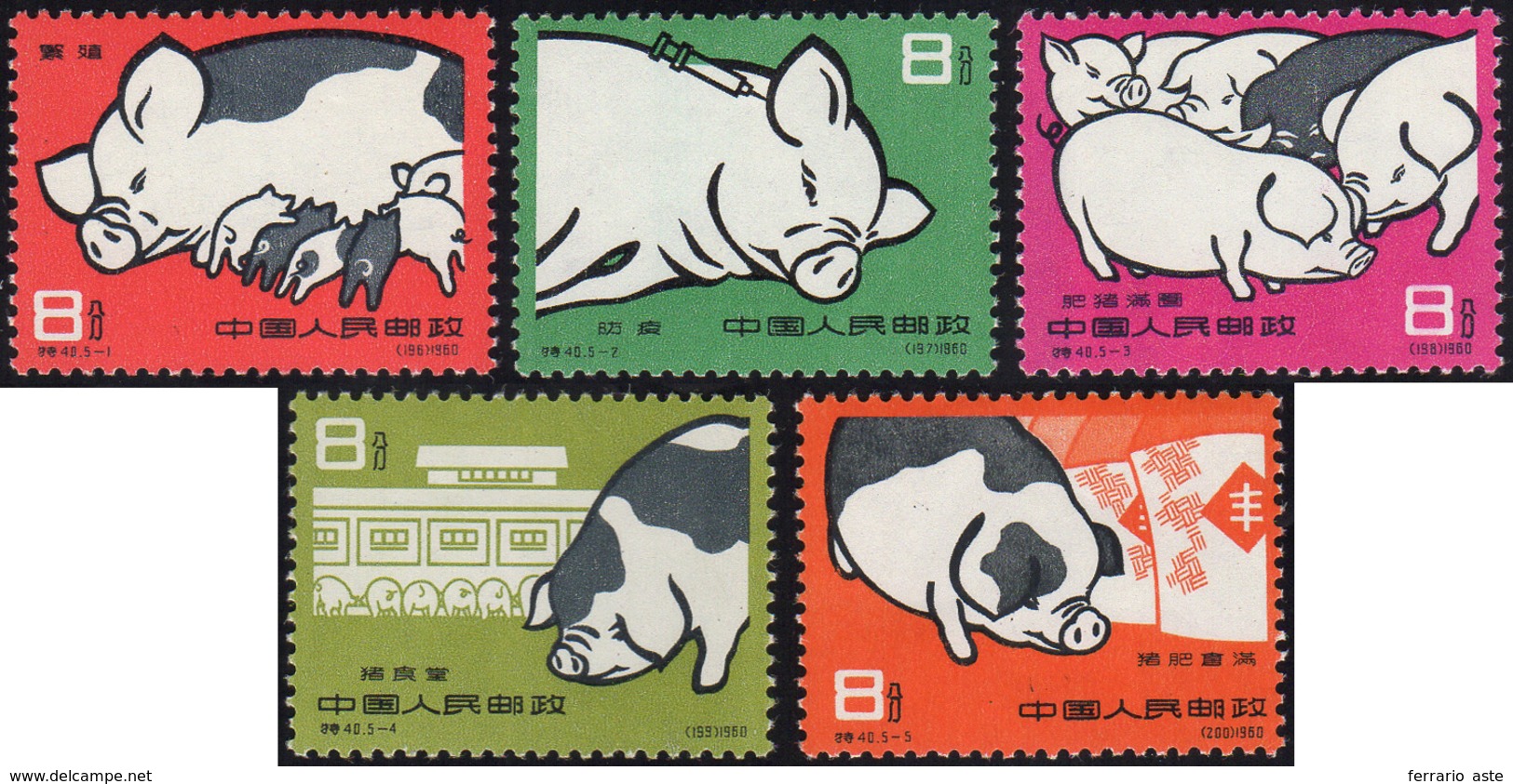 2147 1960 - Pig Breeding, Complete Set Of 5 Stamps (Yv.1304/1308, M. 546/550), O.g., MNH.... - Other & Unclassified