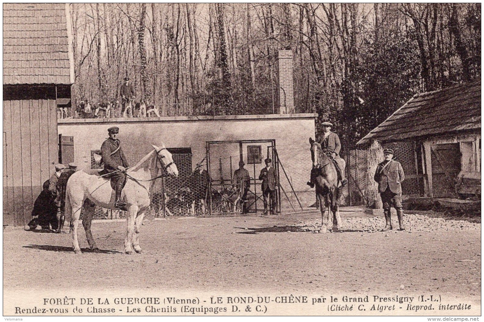 V15354 Cpa 86 Forêt De La Guerche - Le Rond Du Chêne Par Le Grand Pressigny - Other & Unclassified