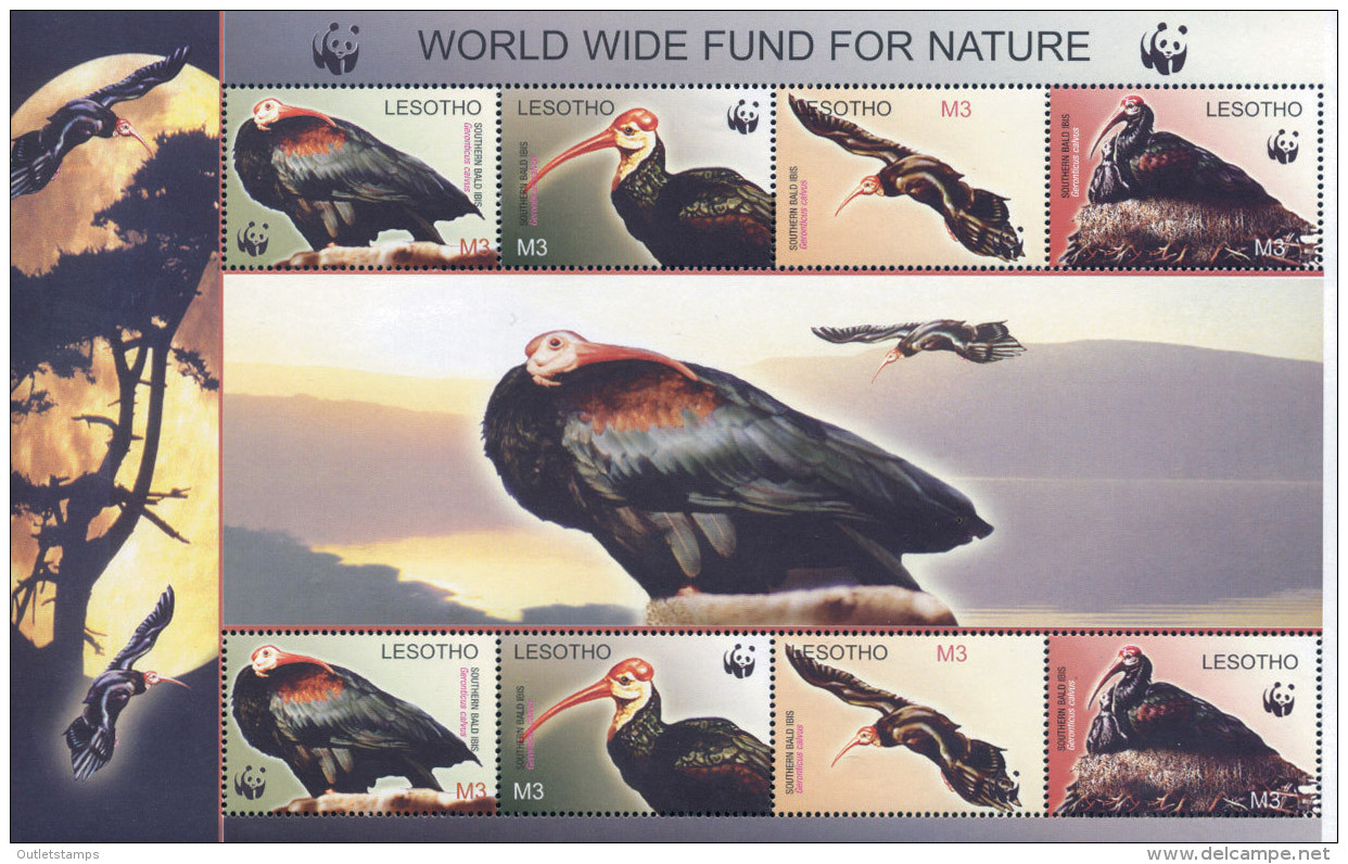 Ref. 134025 * NEW *  - LESOTHO . 2004. WWF. GERONTICUS CALVUS. WWF. GERONTICUS CALVUS - Lesotho (1966-...)