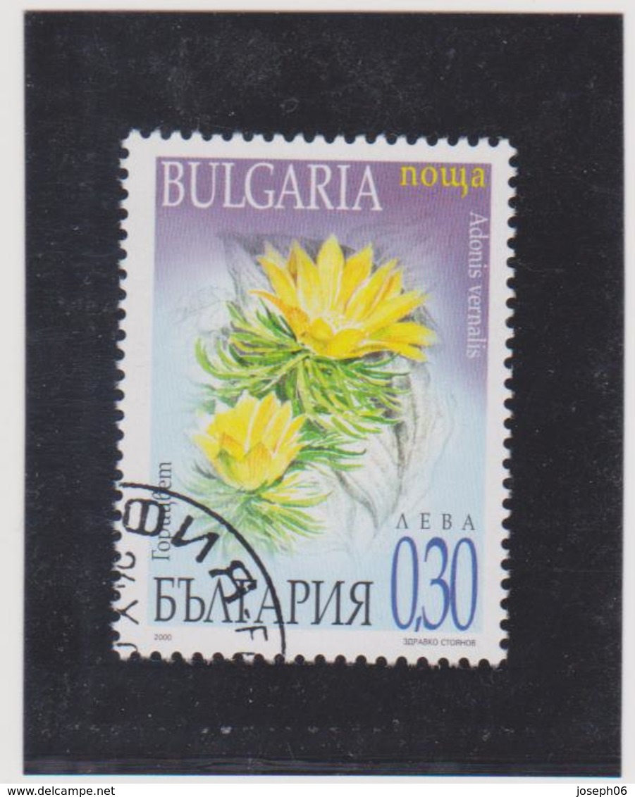 BULGARIE    2000  Y.T. N° 3891  à  3894  Incomplet  Oblitéré  3893 - Used Stamps