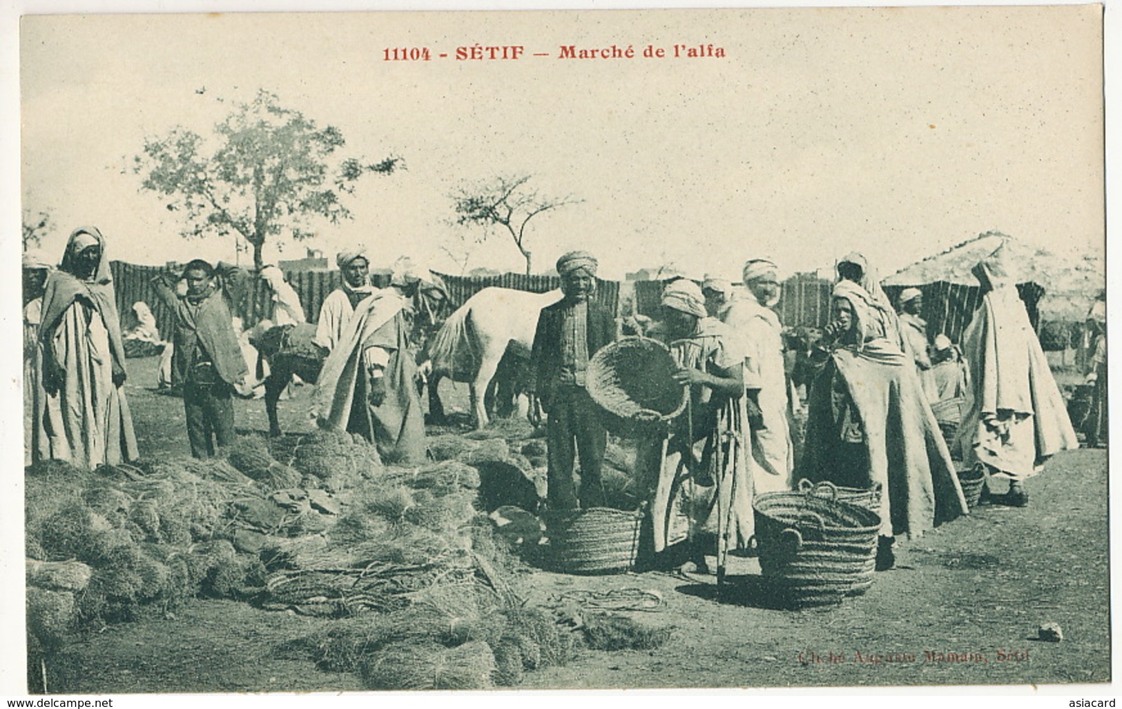 Setif  Marché De L' Alfa   Edit Auguste Mamain - Sétif