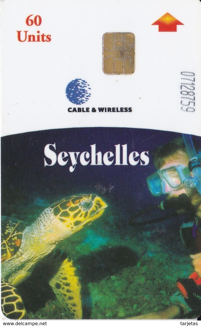 TARJETA DE LAS SEYCHELLES DE UNA TORTUGA-TURTLE - Sychelles