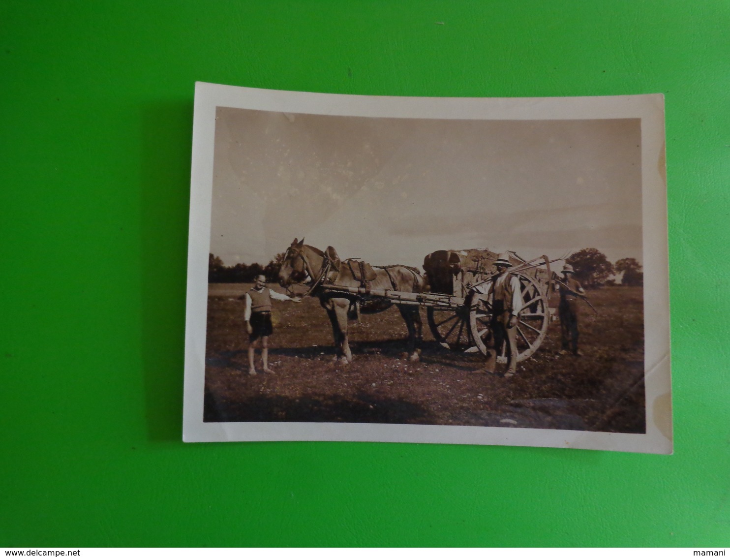 Photo Ancienne Cheval Avec Personnes Anonyme Avec La Charette  10.5 X 8 Cm -travaux Des Champs - Personnes Anonymes