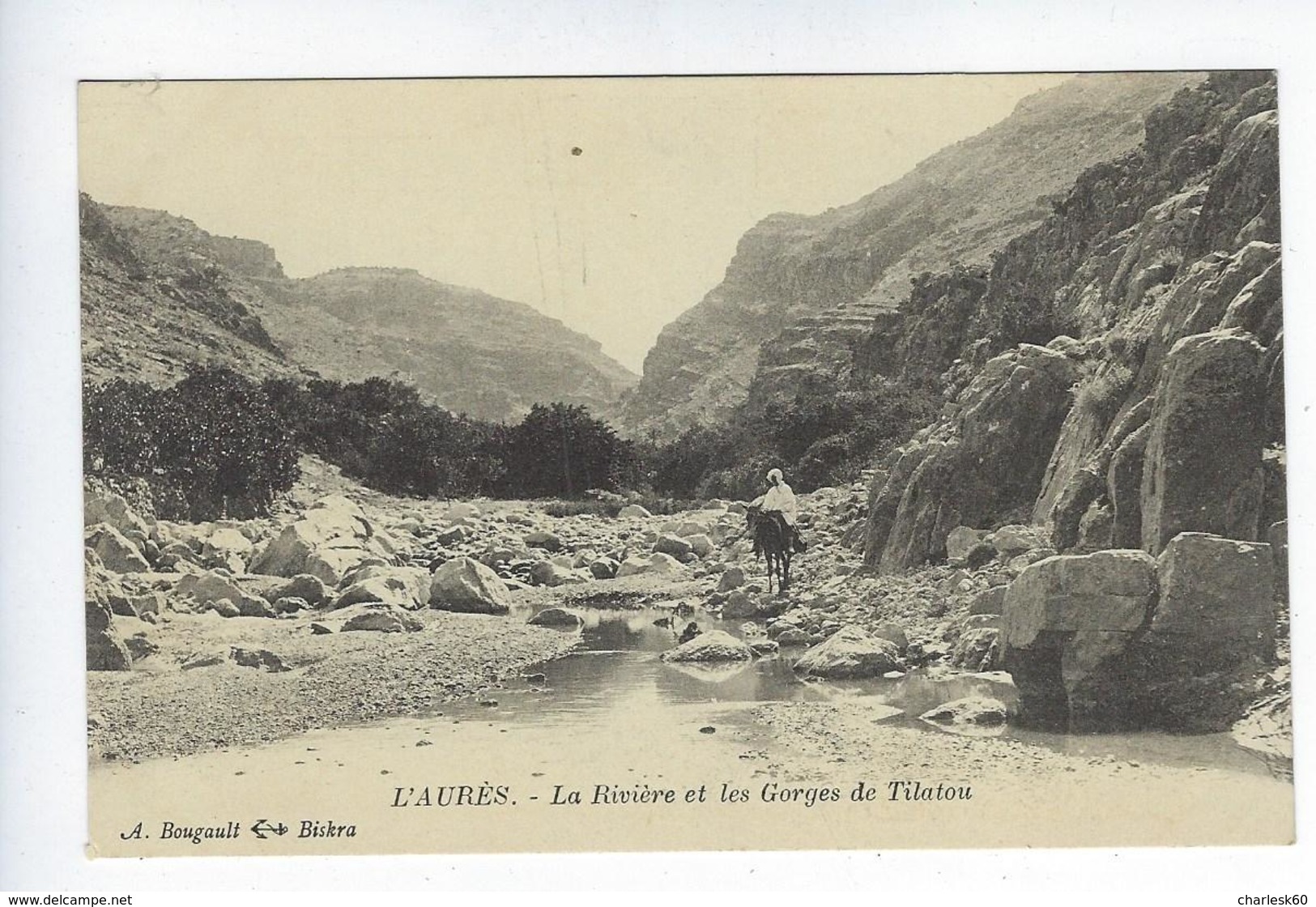 CPA Animée Algérie Biskra L'aurès La Rivière Et Les Gorges De Tilatou - Biskra