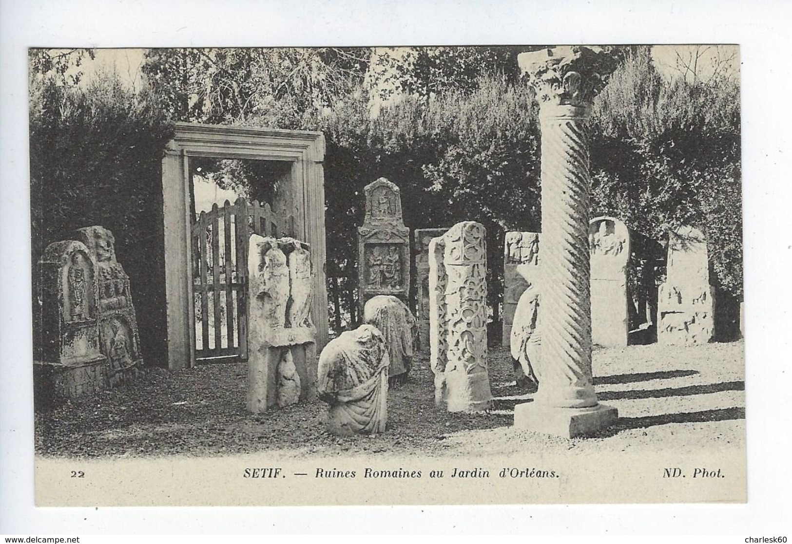 CPA Algérie Sétif Ruines Romaines Au Jardin D'Orléans - Sétif