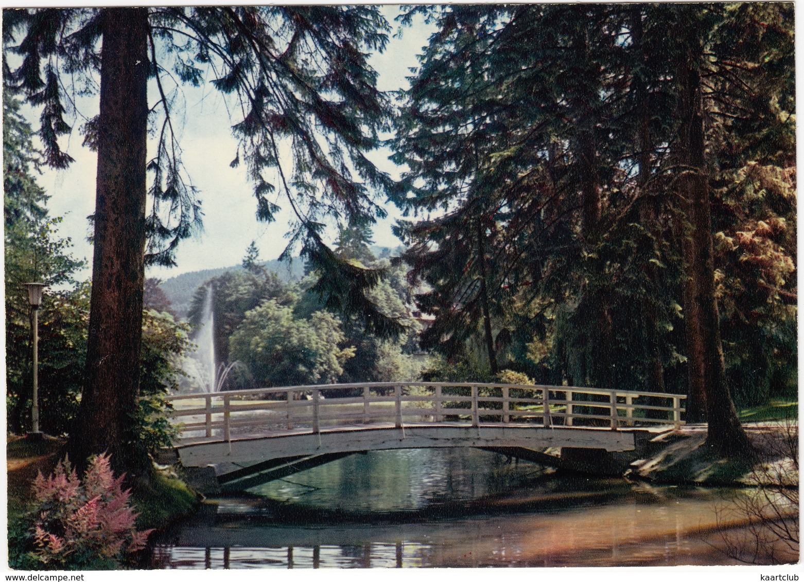 Bad Schwalbach - Weiher Im Kurpark - (D.) - Bad Schwalbach