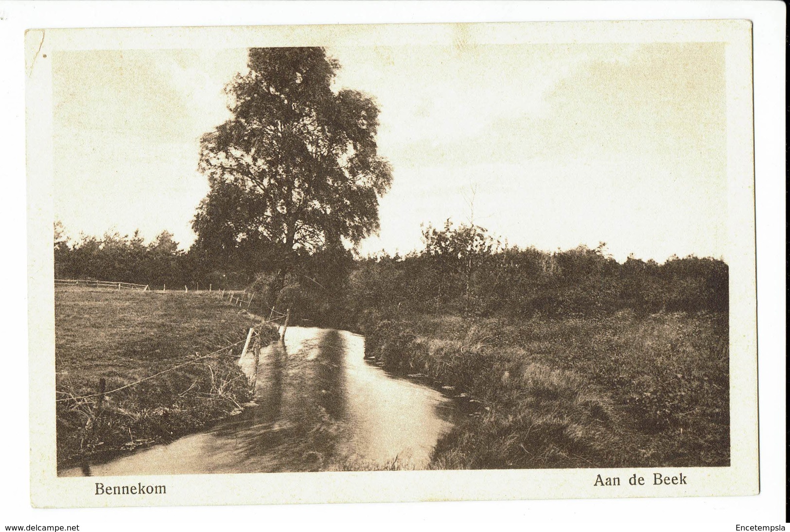 CPA - Carte Postale - Pays Bas - Bennekom - Aan De Beek  -  S802 - Ede