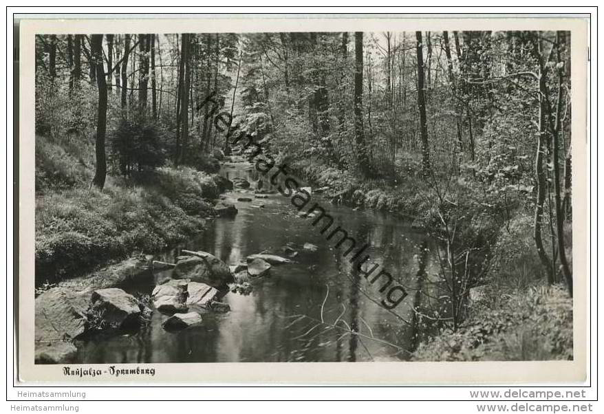 Neusalza-Spremberg - Spree - Foto-AK - Neusalza-Spremberg