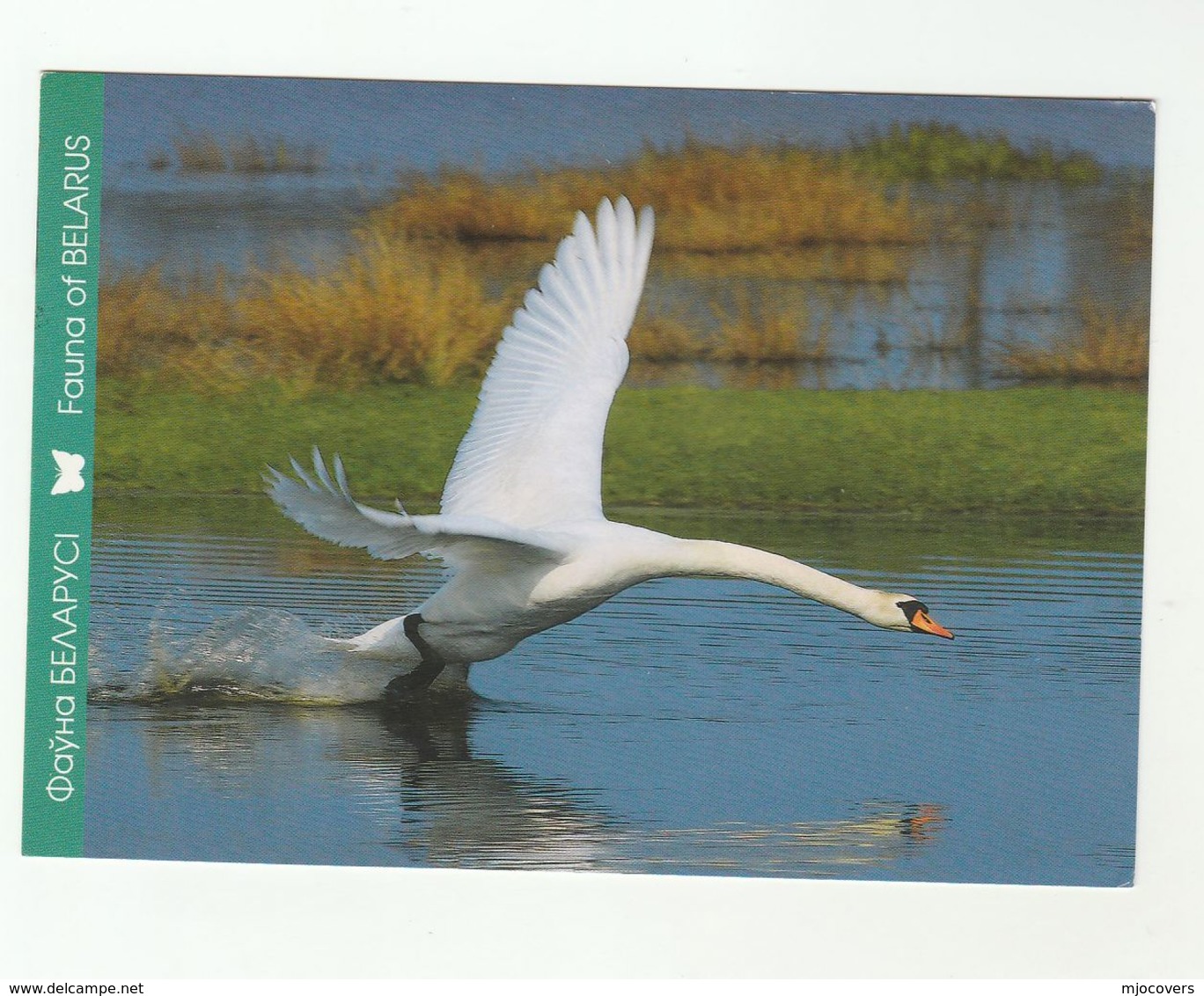2012 BELARUS Stamps COVER (postcard SWAN Bird Birds)  To GB - Belarus