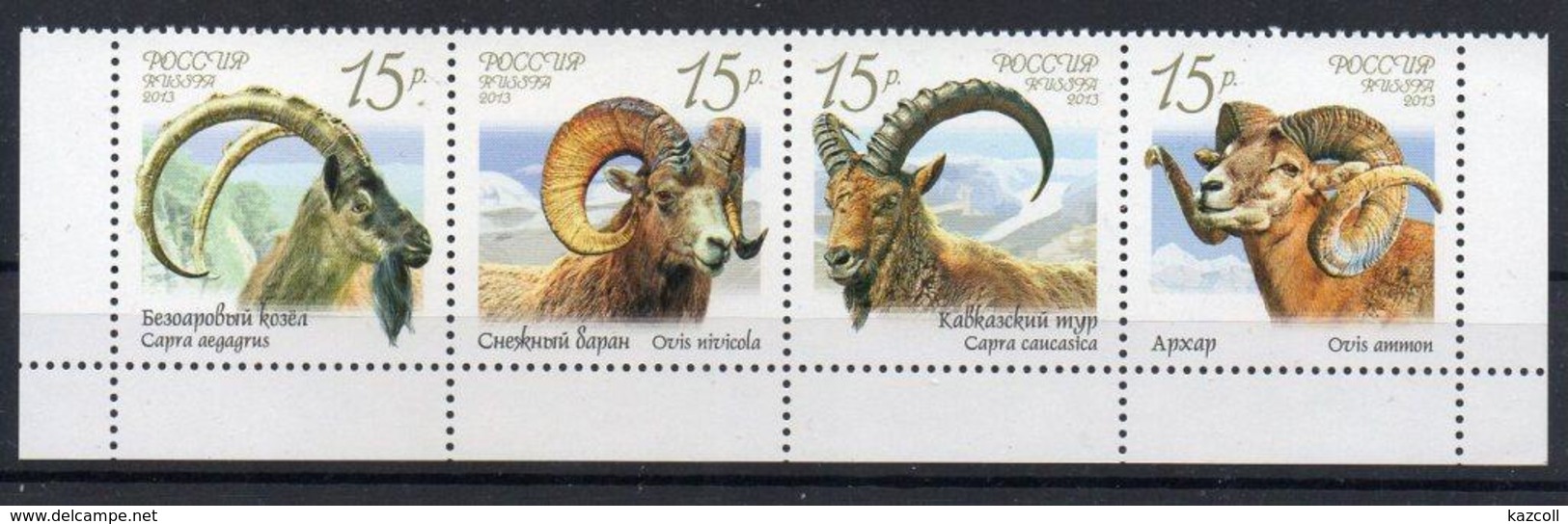Russia 2013. Wild Goats And Rams.. Fauna.  Animals. MNH - Ungebraucht