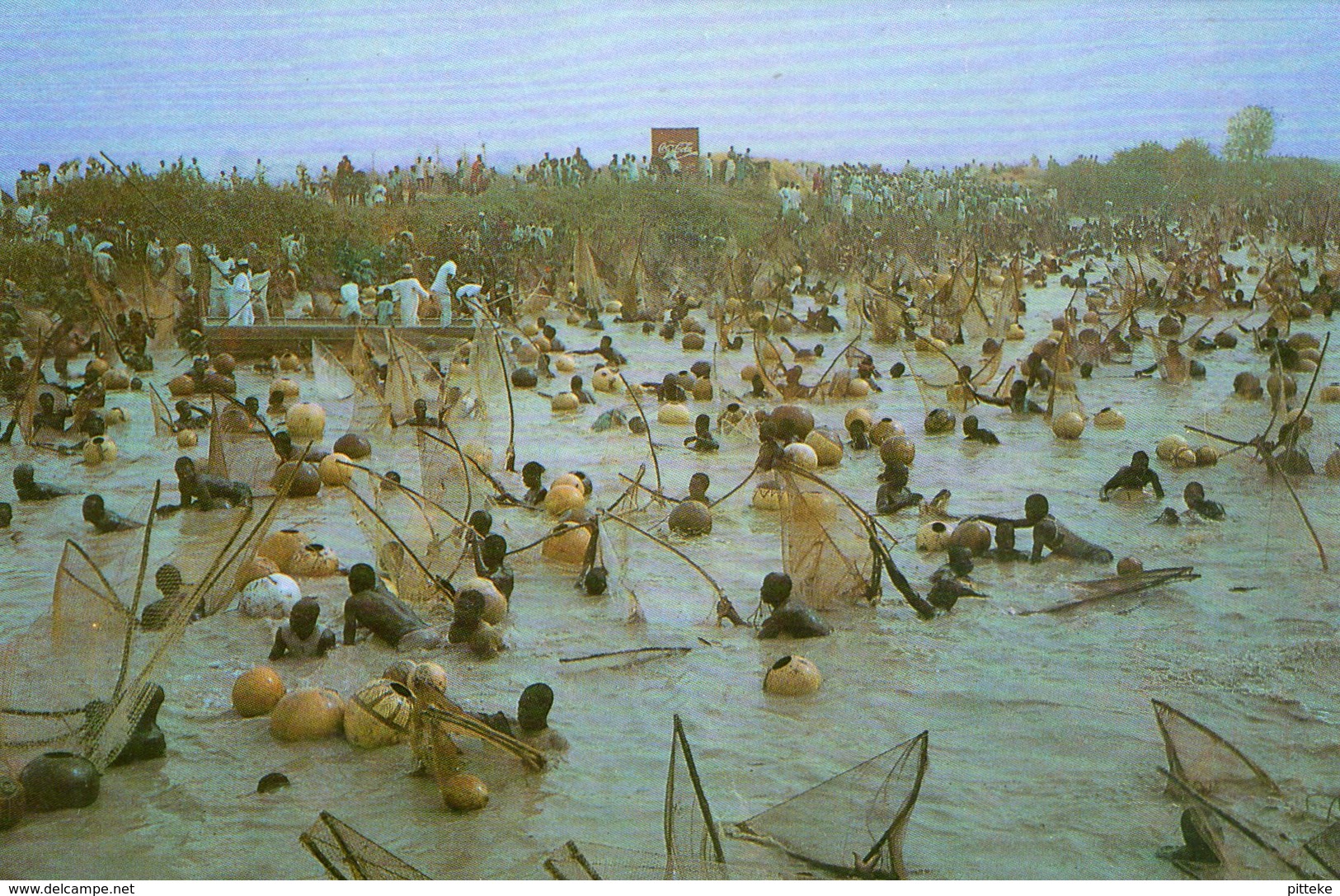 Argungu Fishing Festival, Sokot State - Nigeria