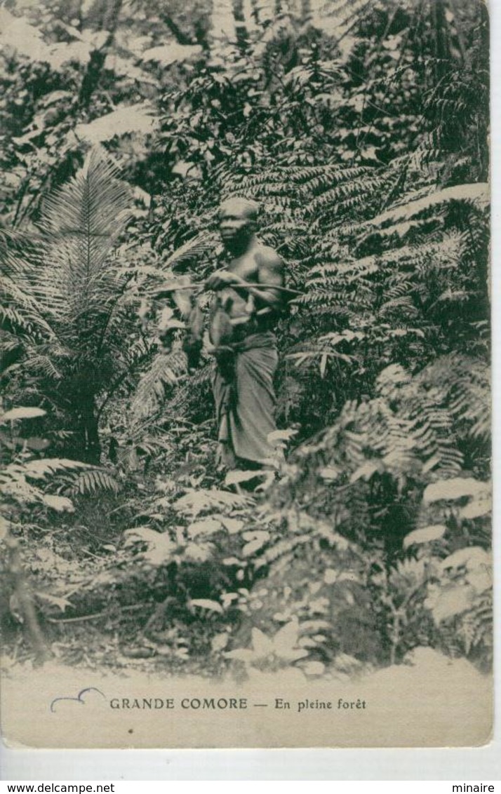 GRANDE COMORE En Pleine Forêt - Comores