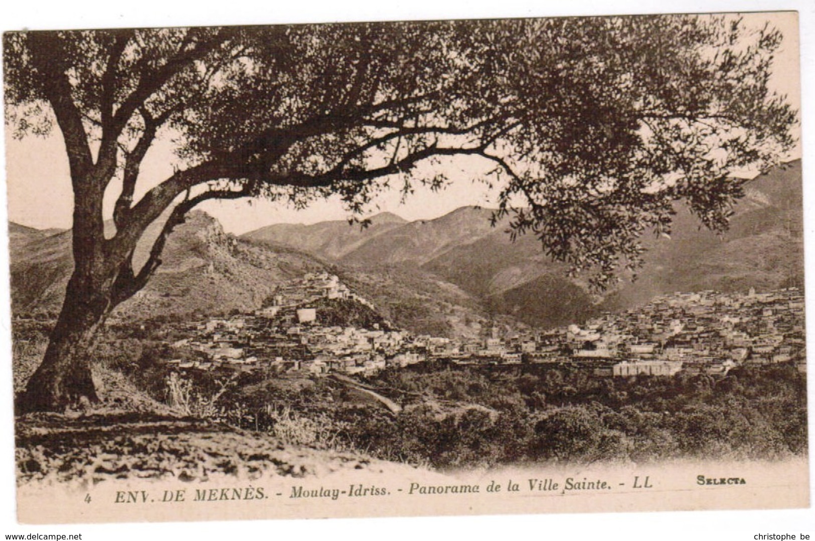 Env De Meknes, Panorama De La Ville Sainte (pk48744) - Meknès